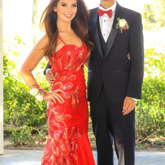 Dresses & Skirts - Prom/evening formal dress worn once. Gorgeous!